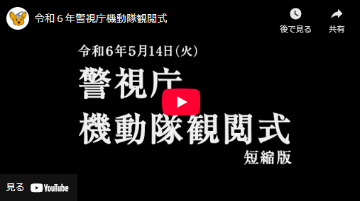 機動隊観閲式